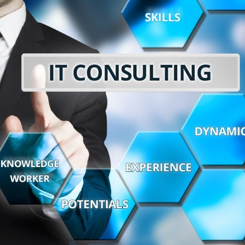 IT CONSULTING SERVICES